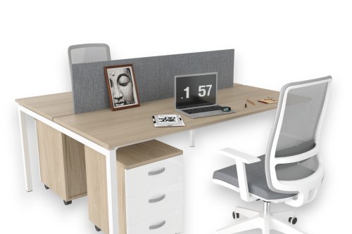 Ear İkili Workstation 