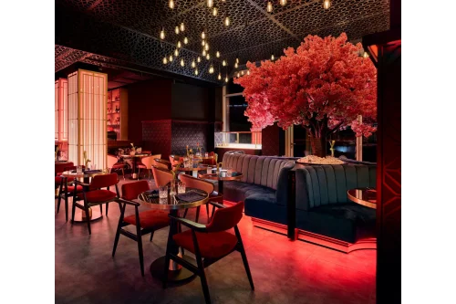 Viyana Restoran Projesi - PARİS EN İYİ RESTORAN YARIŞMASI 1'İNCİSİ