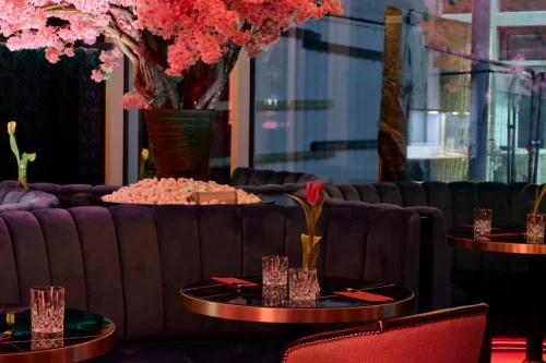 Viyana Restoran Projesi - PARİS EN İYİ RESTORAN YARIŞMASI 1'İNCİSİ | Masko Mobilya Kenti