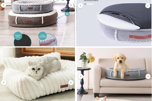 Evien Home Kedi Köpek Yatakları 