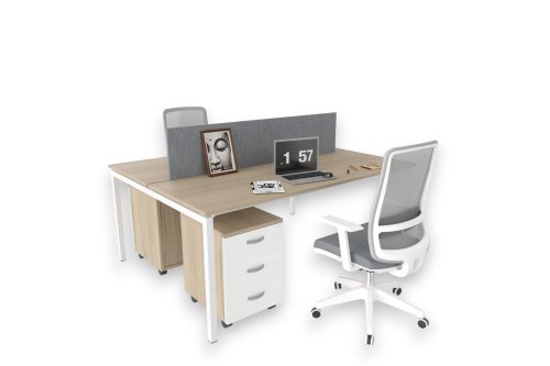 Terra İkili Workstation