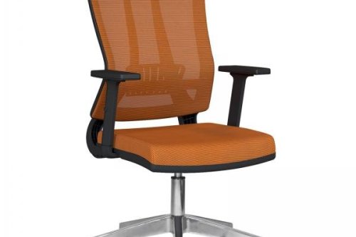 Liv Çalışma Koltuğu- PLN-150 